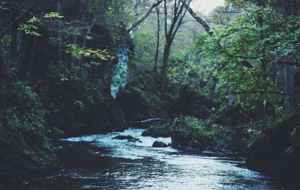 বিশ্ববিদ্যালয়গুলোতে নতুন শিক্ষাবর্ষে ভর্তির সংখ্যা বাড়ছে