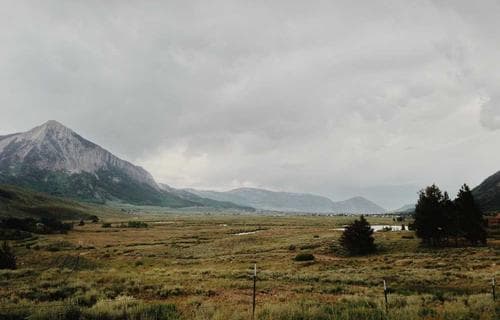 জাতীয় বিশ্ববিদ্যালয়ে অনার্স ভর্তির বিজ্ঞপ্তি প্রকাশিত হয়েছে