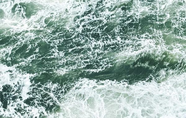 আন্তঃবিশ্ববিদ্যালয় ক্রিকেট টুর্নামেন্টে বুয়েট চ্যাম্পিয়ন