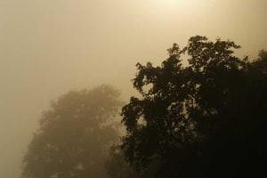 দেশের সরকারি কলেজগুলোতে মাল্টিমিডিয়া ক্লাসরুম স্থাপন হবে