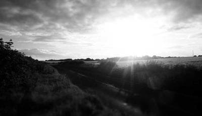 শিক্ষার্থীদের প্রতিক্রিয়া: নতুন পাঠ্যক্রম নিয়ে মতামত