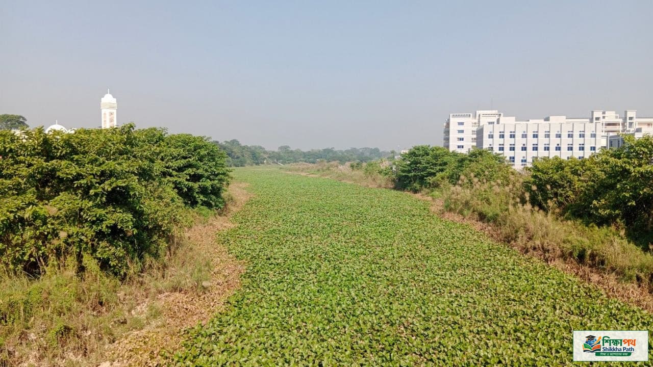 নাব্য সংকটে শিবচরের নদ-নদী: অস্তিত্ব হারাচ্ছে 'মরা আড়িয়াল খাঁ'সহ একাধিক প্রবাহ