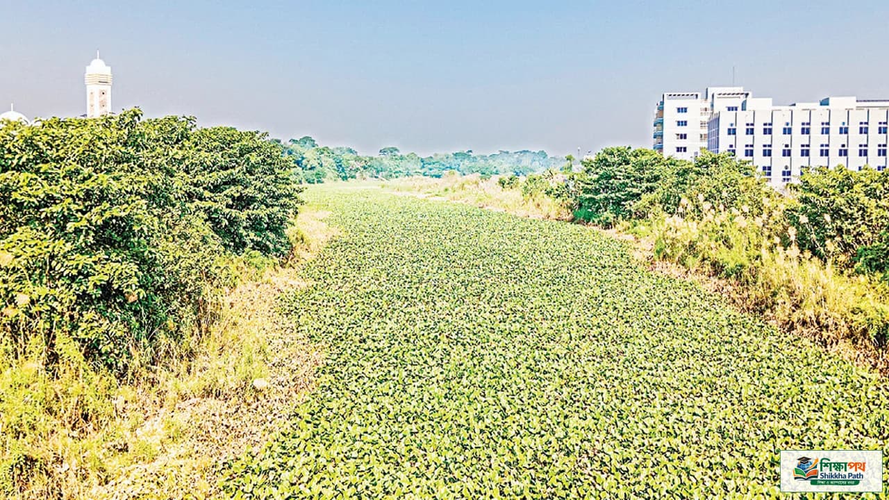 নাব্য সংকটে অস্তিত্ব হারাচ্ছে মাদারীপুরের আড়িয়াল খাঁ ও ময়নাকাটা নদী