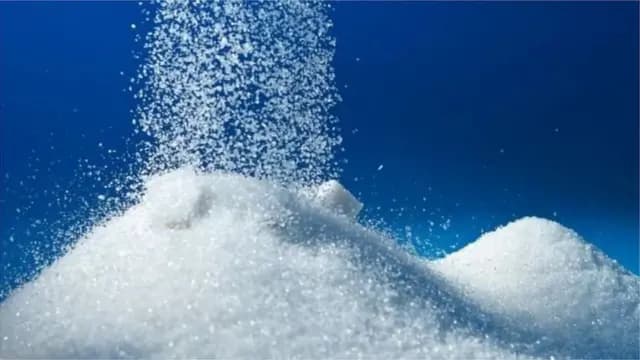 কর্মসংস্থান ও রাজস্ব বাড়াতে বন্ধ ৬ চিনিকল পুনরায় চালুর উদ্যোগ নিচ্ছে সরকার: শিল্পমন্ত্রী